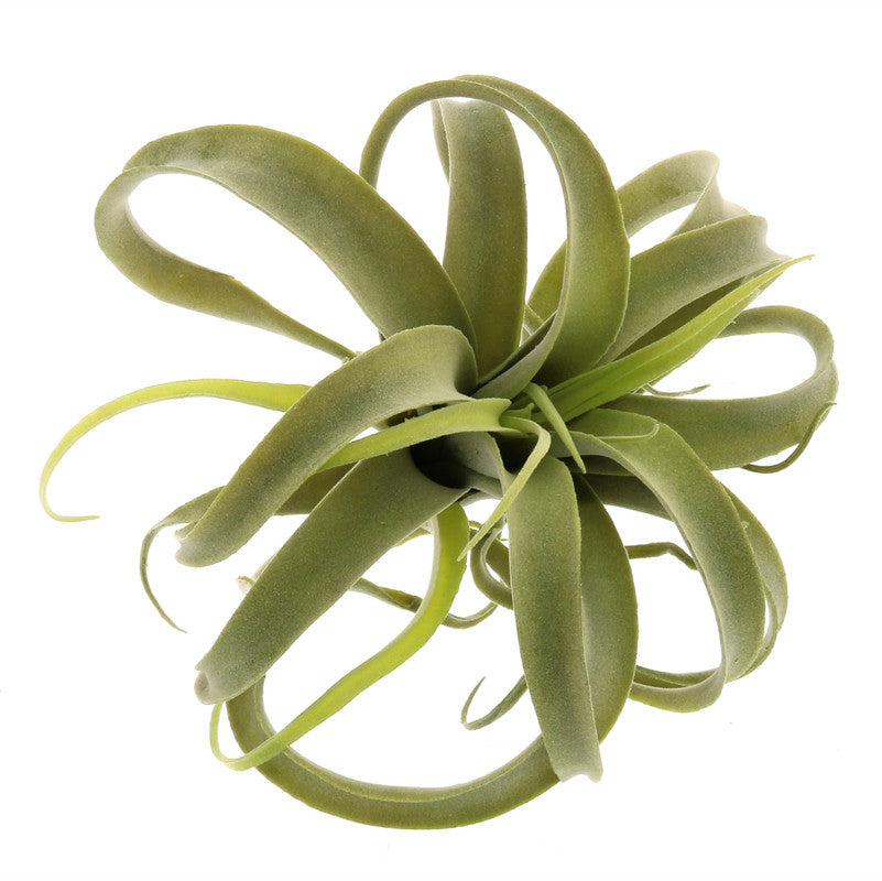 Faux Tillandsia - Lrg