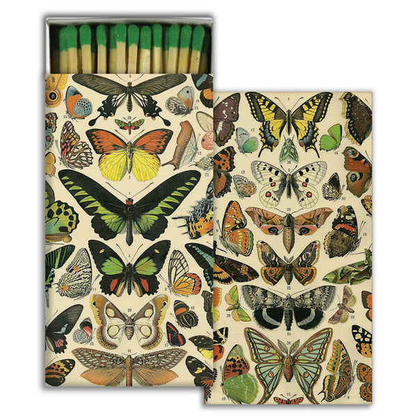 Butterfly Specimens HomArt Matches