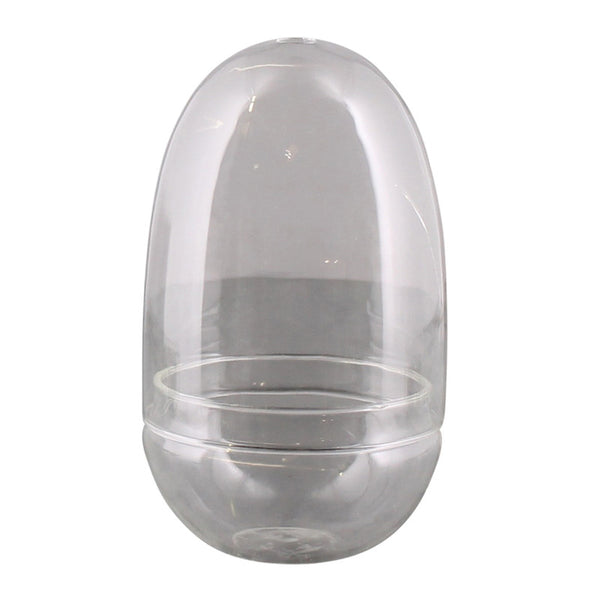 Sole Terrarium, Glass - Oval, Sm