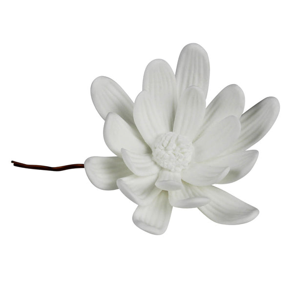 Bone China Curled Magnolia Flower White